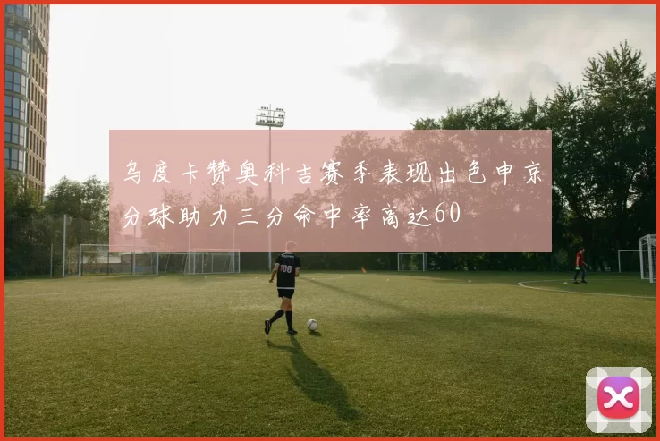乌度卡赞奥科吉赛季表现出色申京分球助力三分命中率高达60